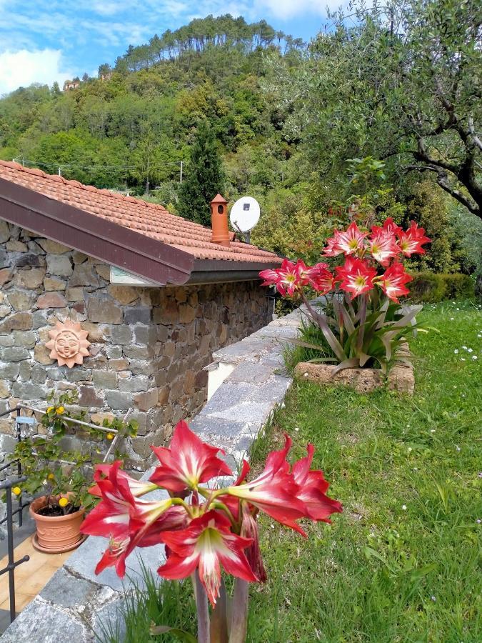 5 Terre - B&B La Giuditta - La Spezia Buitenkant foto